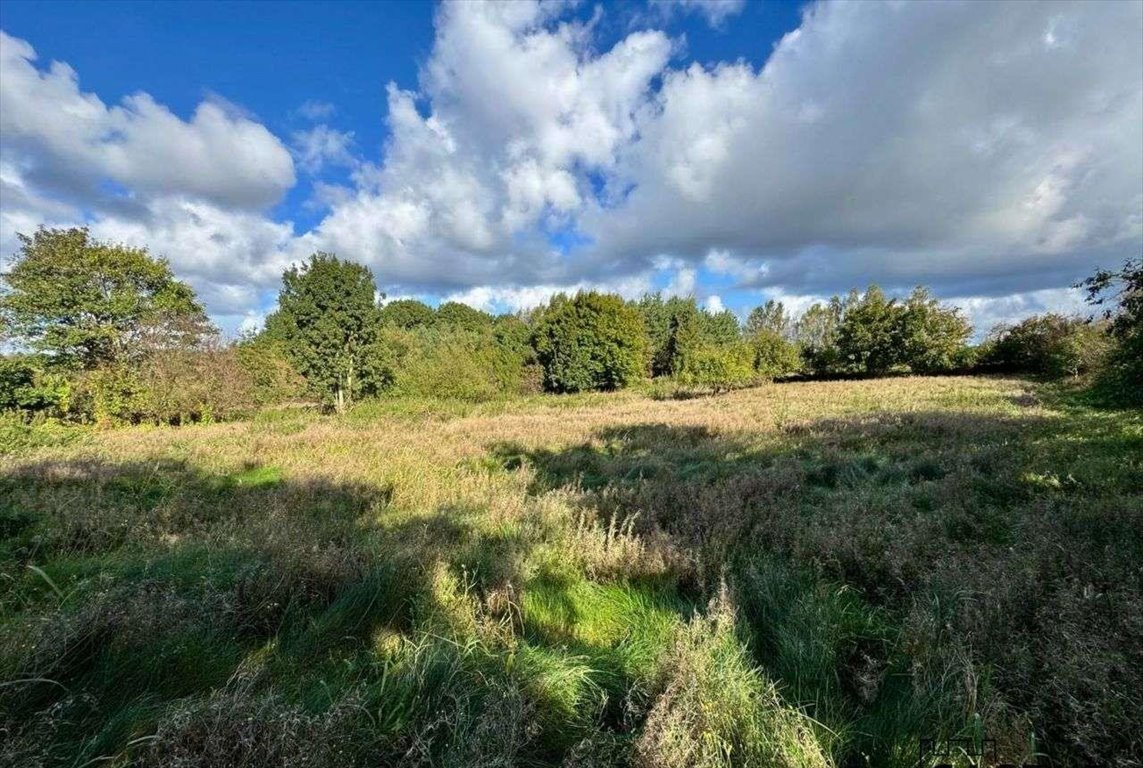 Działka budowlana na sprzedaż Gorzyno  5 800m2 Foto 5