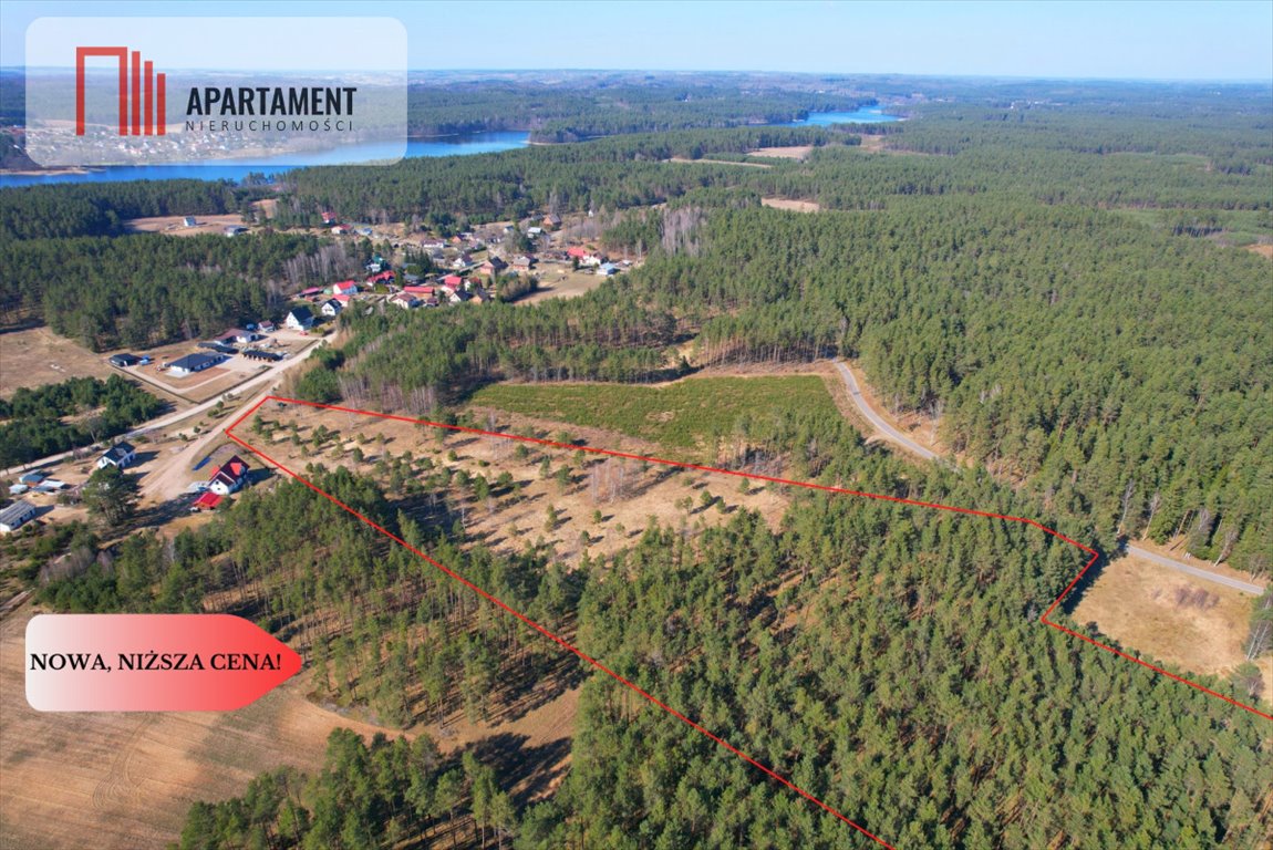 Działka pod osiedle 16 domów, las, jezioro, 42 000 m² Przewóz  42 000m2 Foto 1
