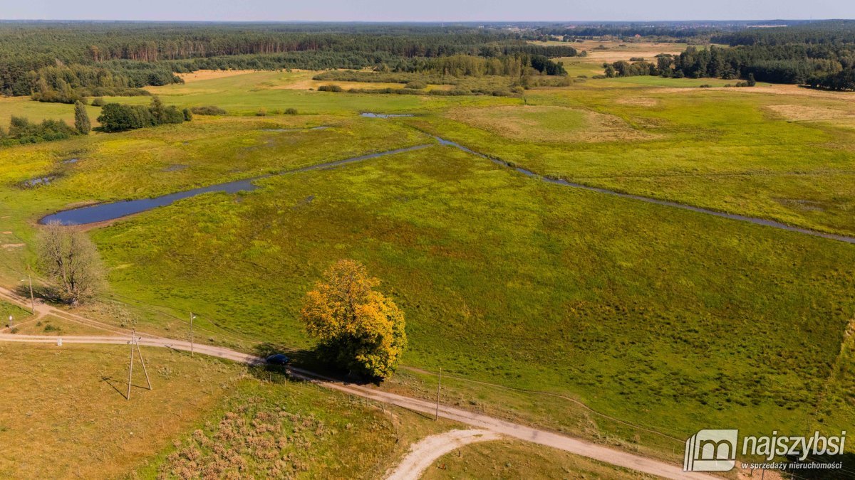 Dom na sprzedaż Miodowice  180 400m2 Foto 10