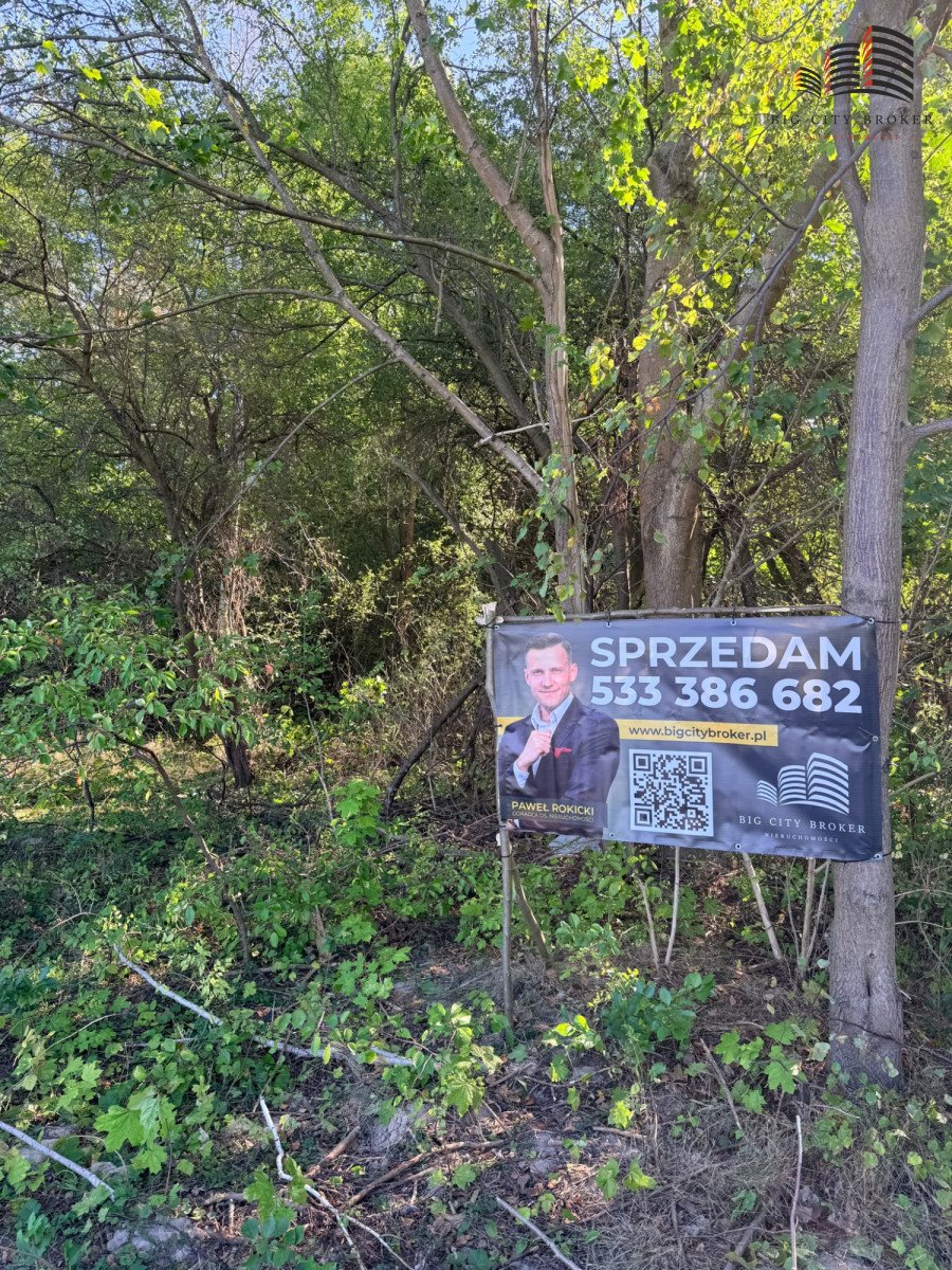 Zapraszam do inwestycji w działkę 3550 m² w Rogóźnie Rogóźno  3 550m2 Foto 1