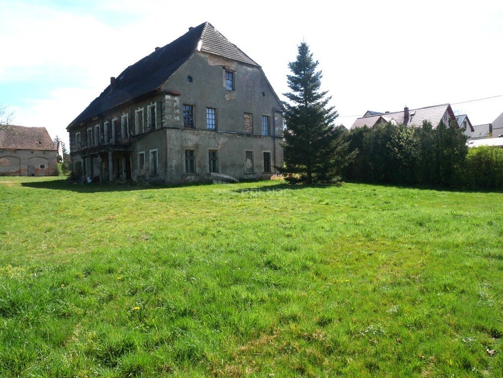 Dom na sprzedaż Krzyżowa  500m2 Foto 5