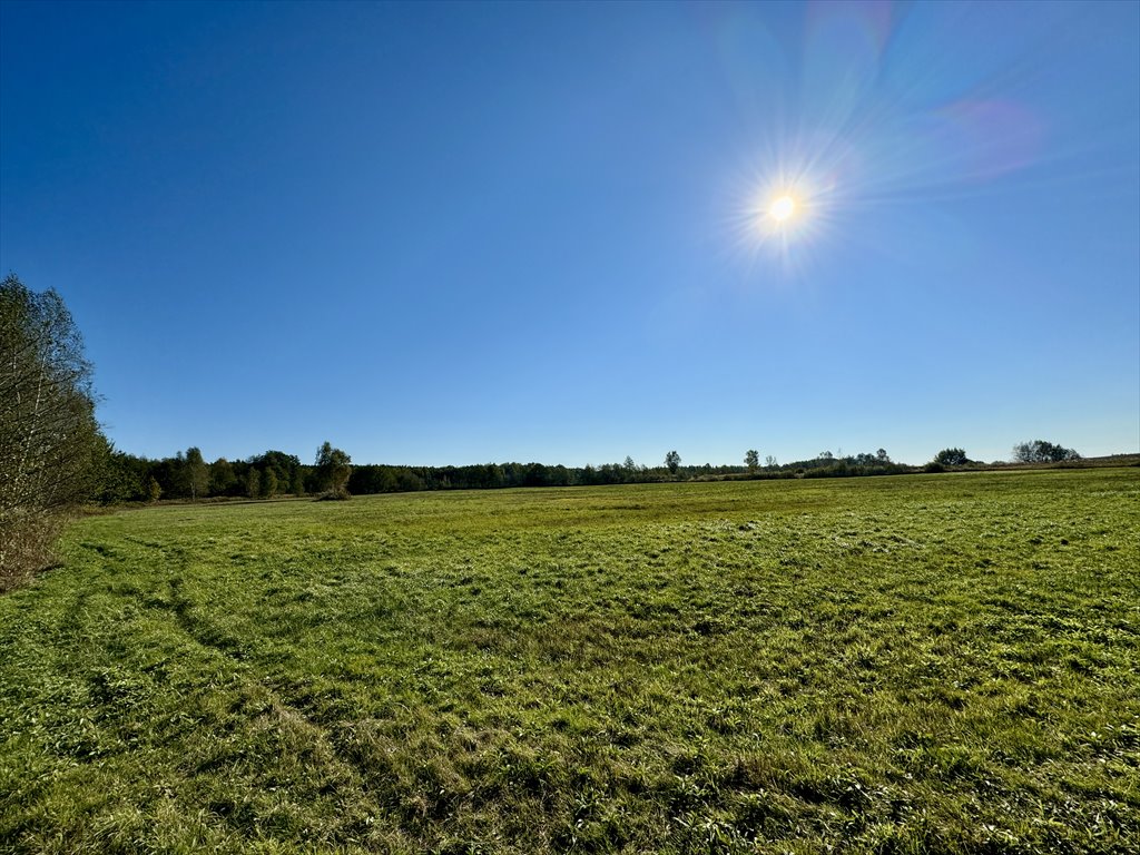 Działka rolna na sprzedaż Leżachów  177 000m2 Foto 1