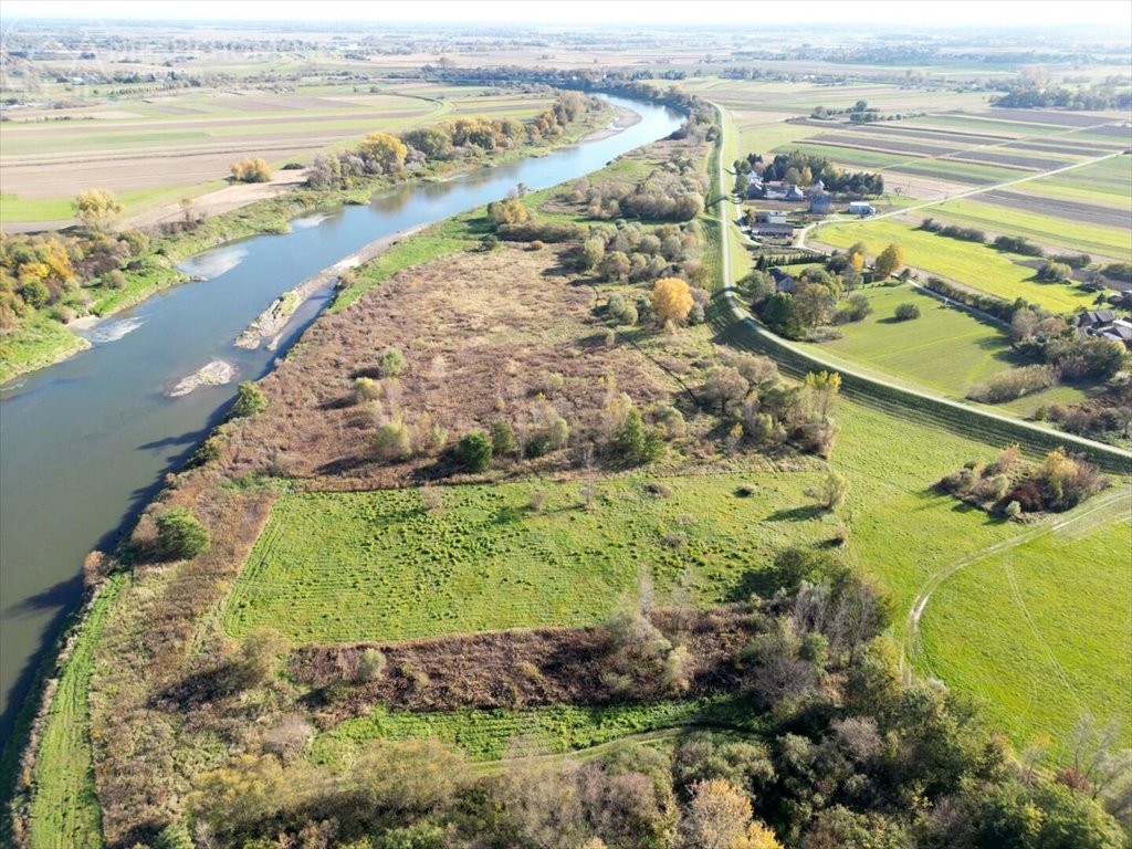 Działka rolna na sprzedaż Dąbrówka Morska  9 500m2 Foto 6