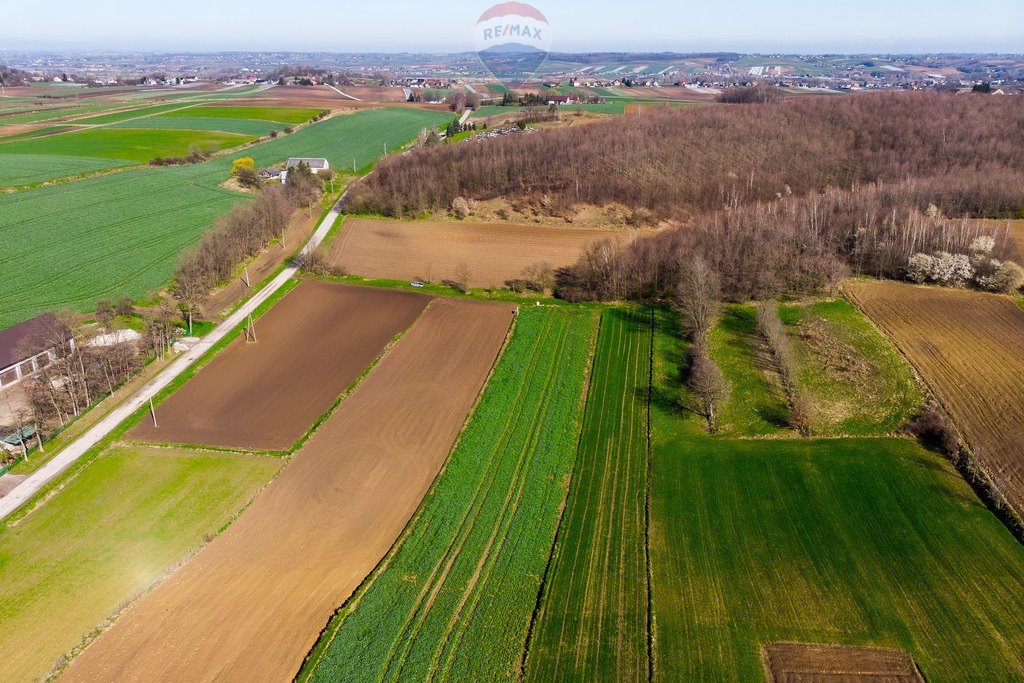 Działka rolna na sprzedaż Sierosławice  3 300m2 Foto 1