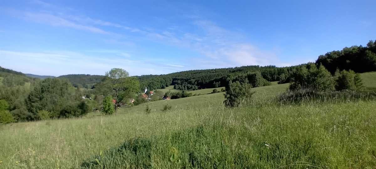 Działka budowlana na sprzedaż Michałkowa, Michałkowa  3 742m2 Foto 2