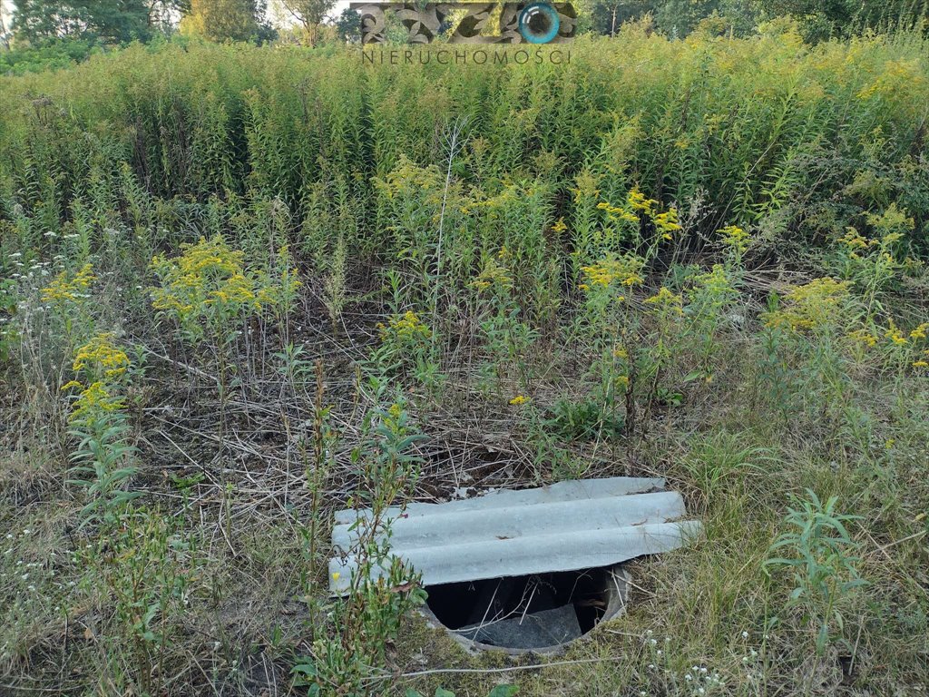 Działka budowlana na sprzedaż Góraszka, Góraszka, Dębowa  2 200m2 Foto 9