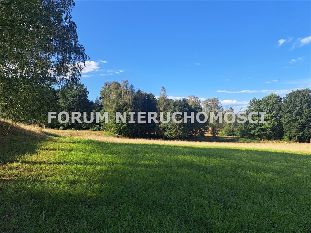 Polecam działkę 20 a z dojazdem asfaltowym i mediami Stara Wieś  2 000m2 Foto 1