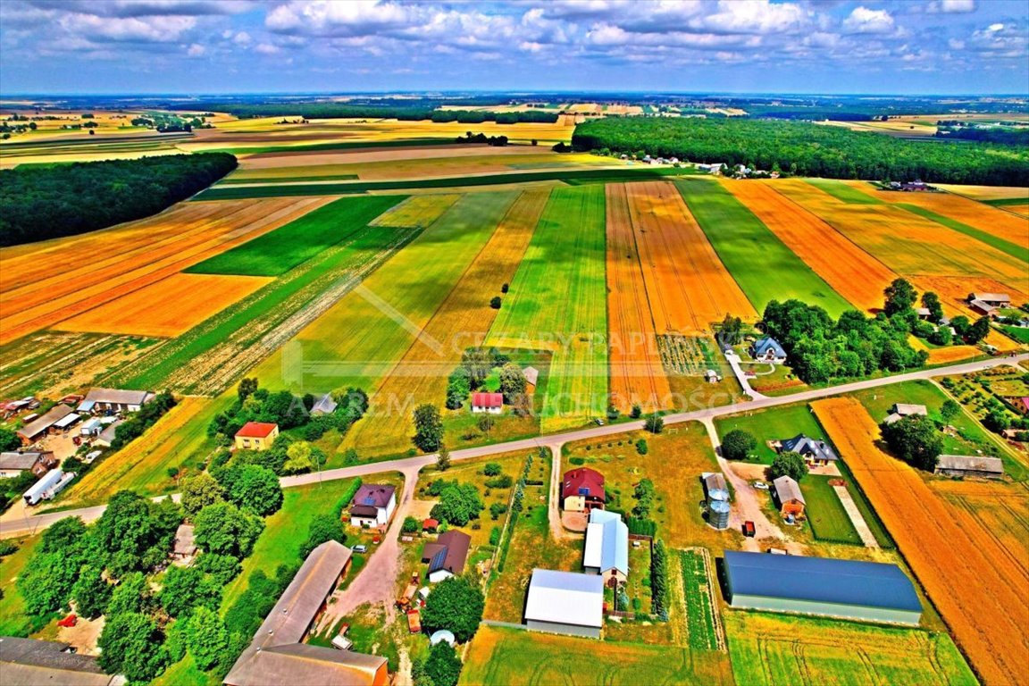 Działka budowlana na sprzedaż Józwów, Józwów  3 000m2 Foto 7