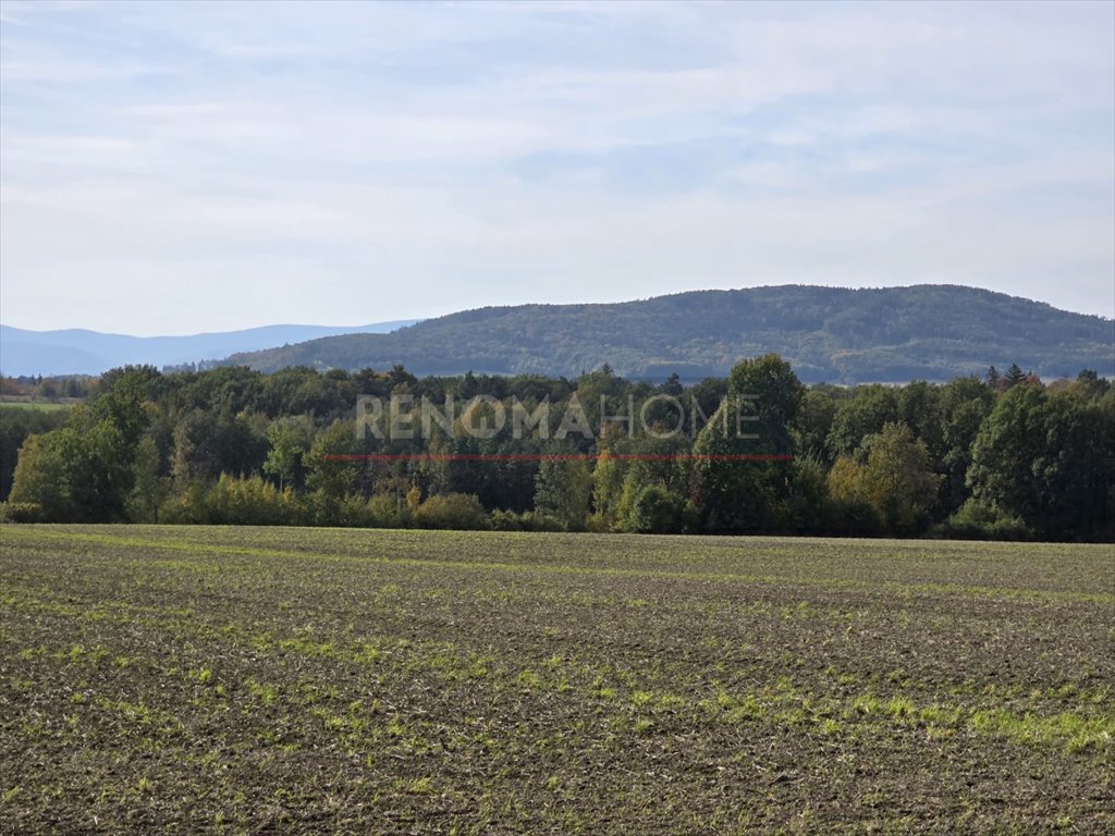 Działka gospodarstwo rolne na sprzedaż Sobótka, Tąpadła  90 500m2 Foto 7