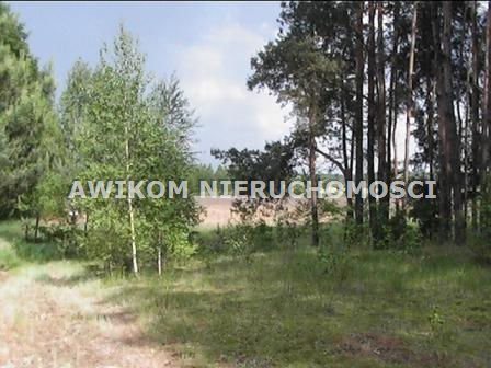 Działka budowlana na sprzedaż Żabia Wola, Piotrkowice  11 500m2 Foto 2