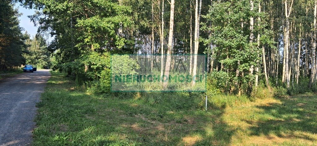 Zdjęcie 7