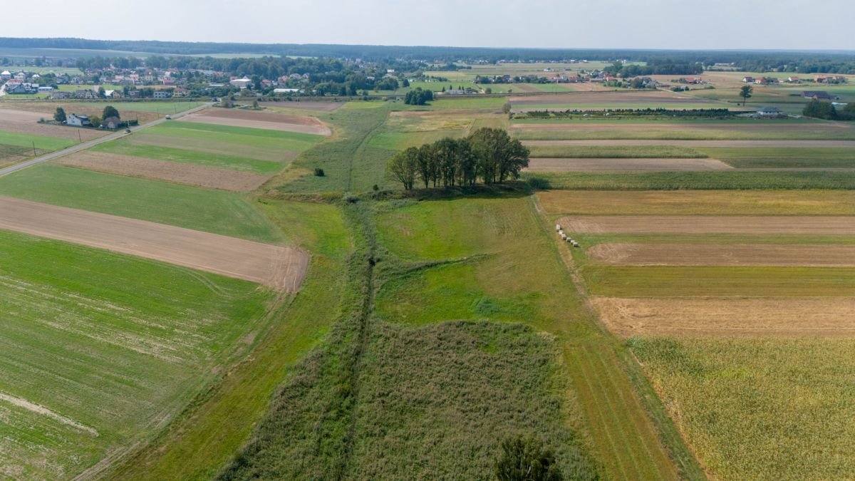 Działka rolna na sprzedaż Sieraków Śląski, Wyzwolenia  6 792m2 Foto 4