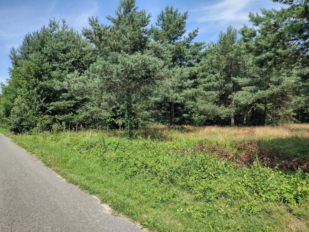 Działka budowlana na sprzedaż Żarki  1 047m2 Foto 1