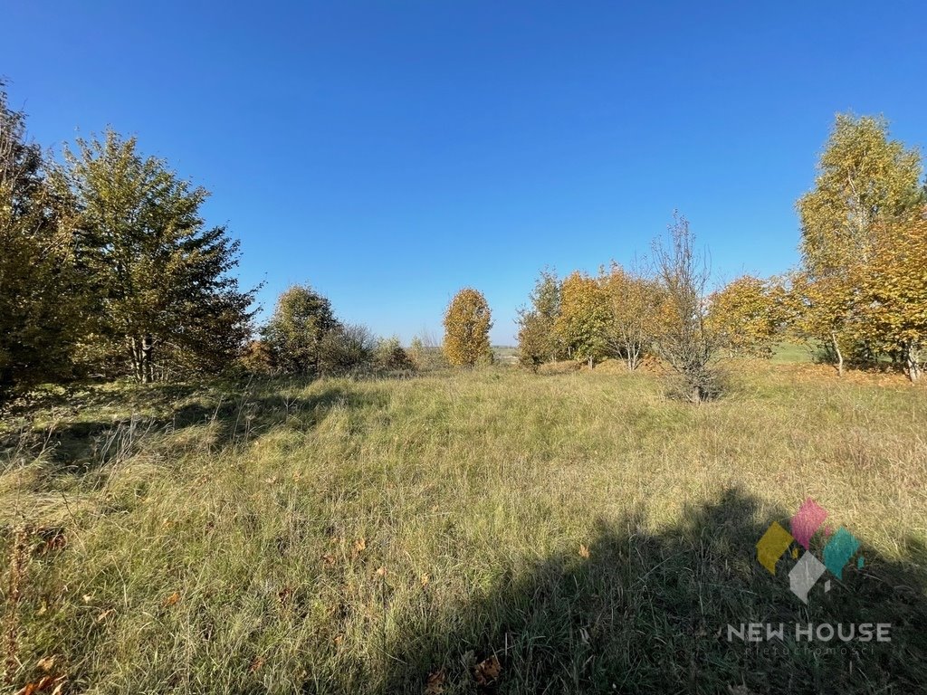 Działka budowlana na sprzedaż Kiersztanowo  41 000m2 Foto 15