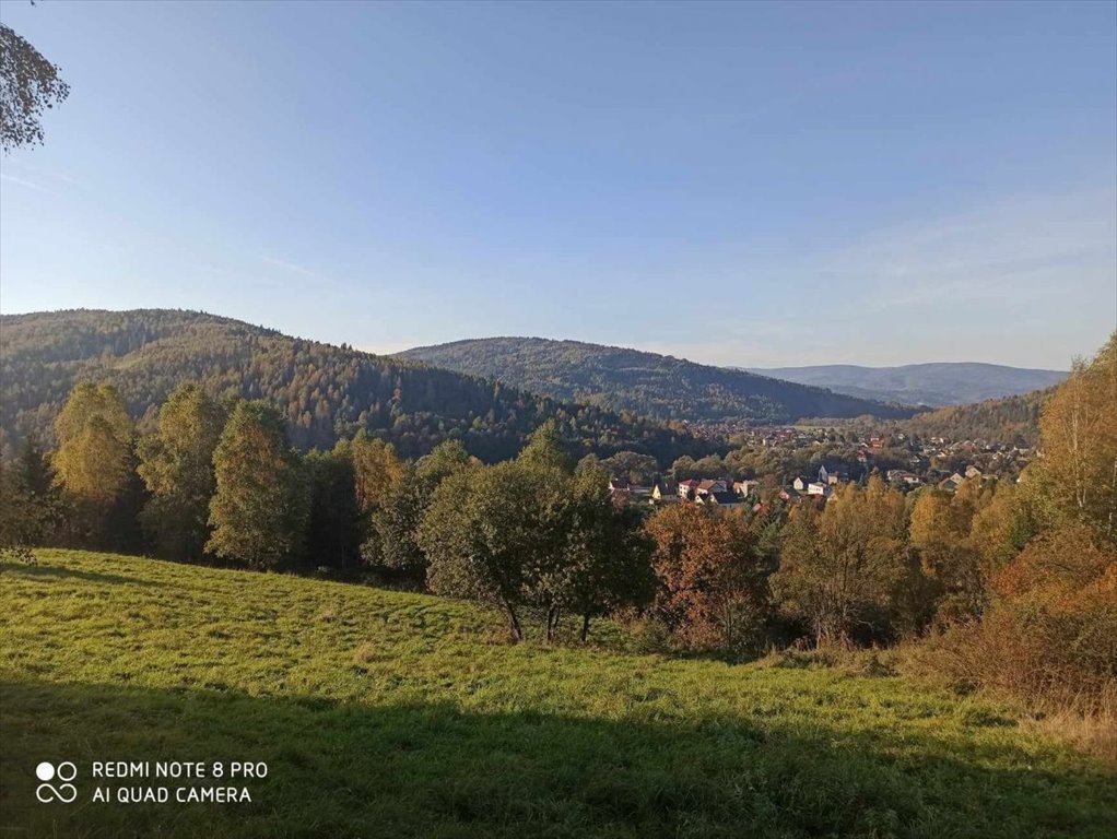 Działka rolna na sprzedaż Rajcza  3 237m2 Foto 4