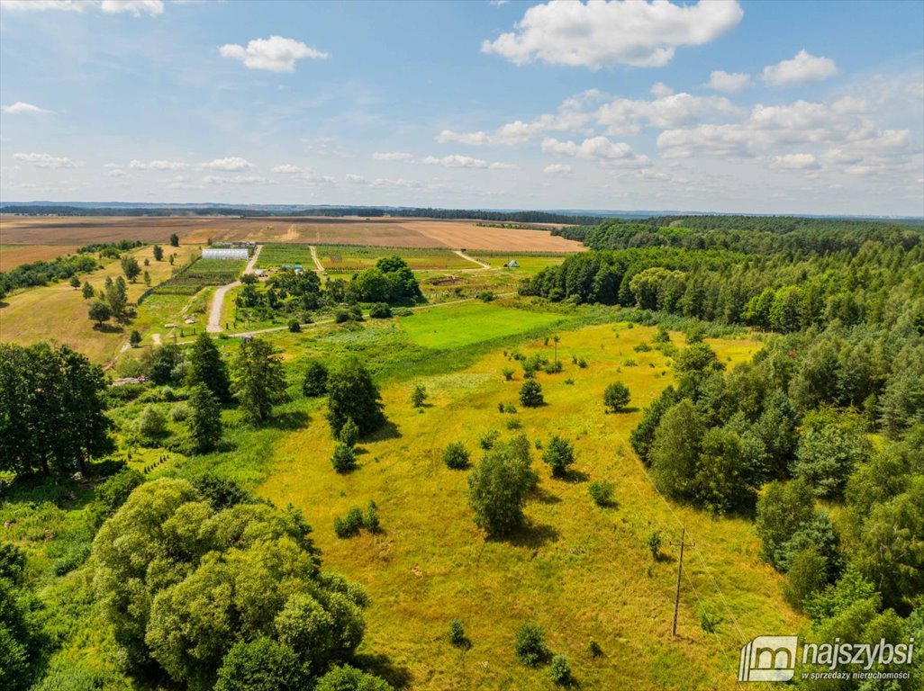 Działka rolna na sprzedaż Chojna  23 200m2 Foto 2