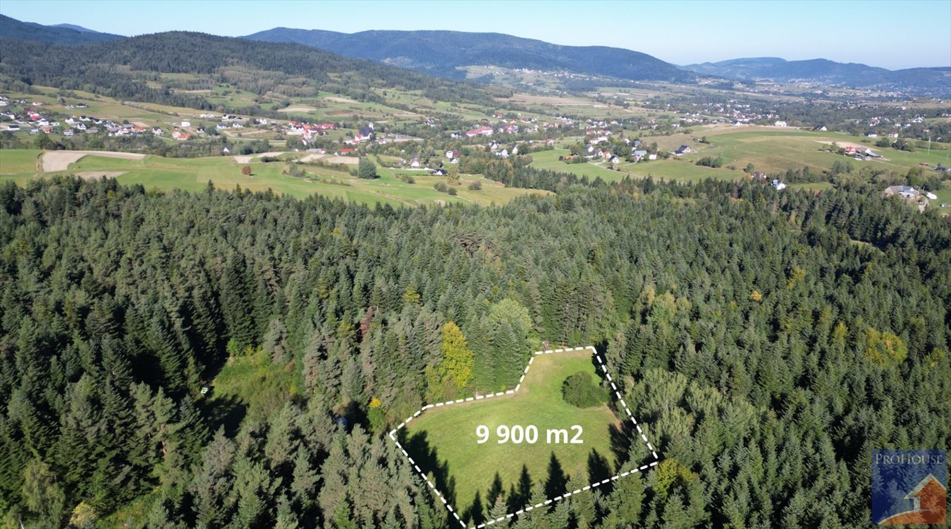Działka 99 arów w Słopnicach (teren leśny LS) z dostępem do drogi Słopnice  9 900m2 Foto 1