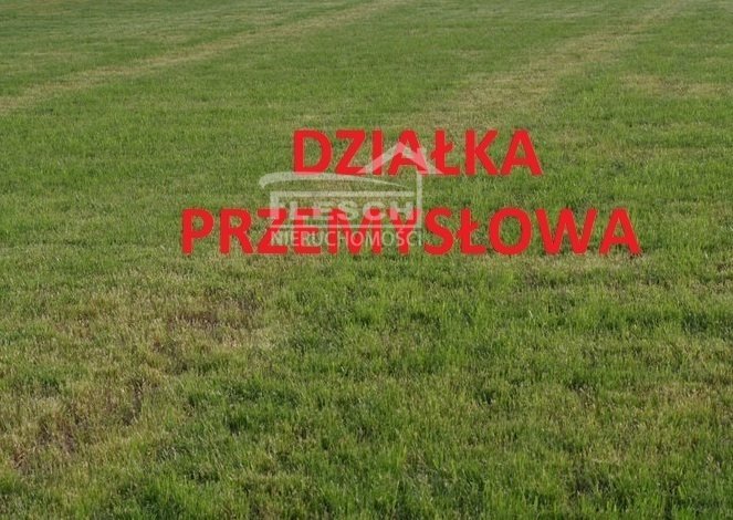 Działka przemysłowo-handlowa na sprzedaż Nadarzyn  10 482m2 Foto 1