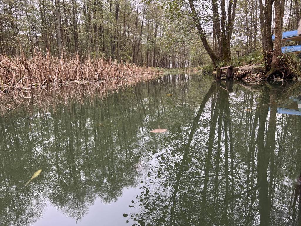 Dom na sprzedaż Borowe  90m2 Foto 1