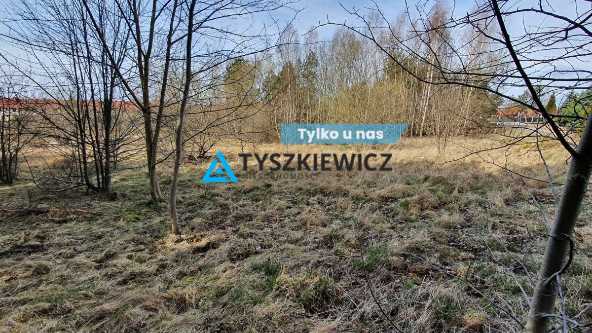 Działka budowlana na sprzedaż Banino, Tuchomska  5 454m2 Foto 1