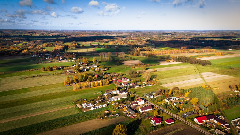 Działka budowlana na sprzedaż Wodzierady  2 618m2 Foto 5