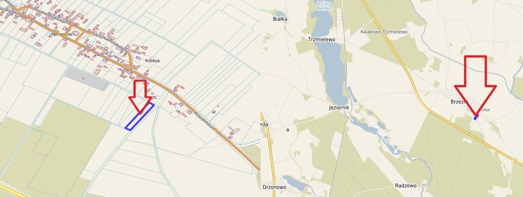 Działka rolna na sprzedaż Brzezie  2 900m2 Foto 1