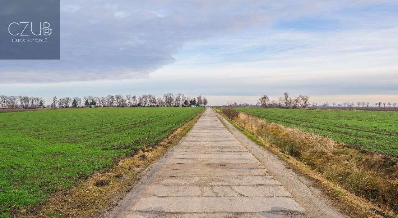 Działka inwestycyjna na sprzedaż Jeziory Małe  4 000m2 Foto 4