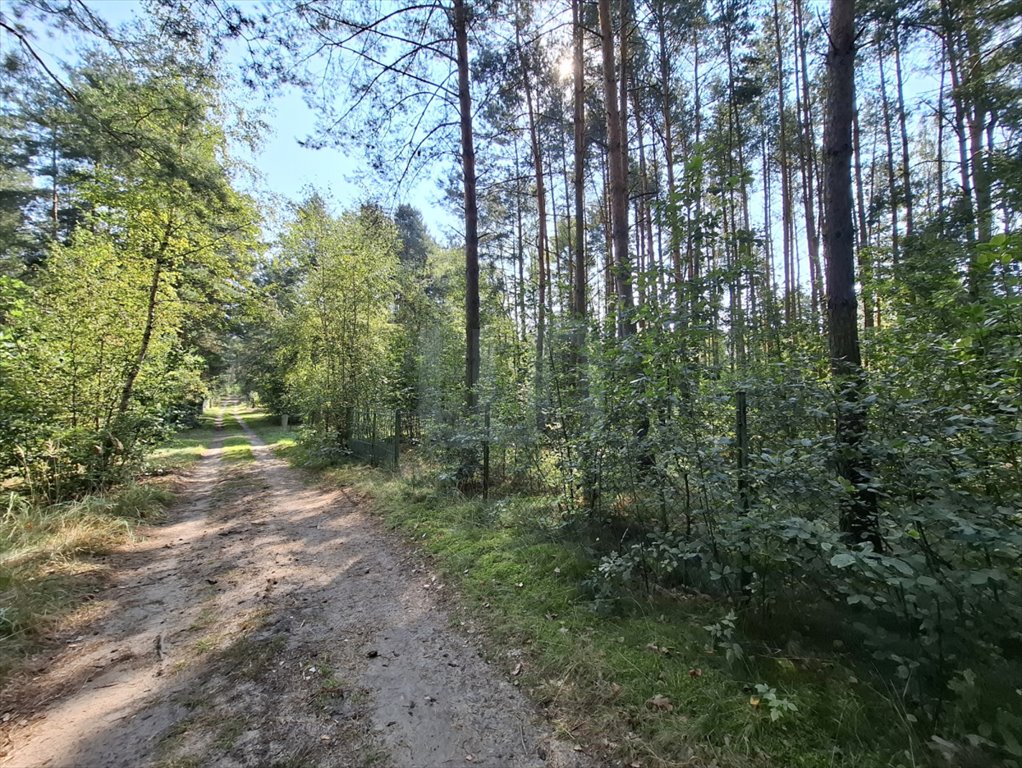 Działka rekreacyjna na sprzedaż Wysoka Lelowska, Czarka, Jeżynowa  2 321m2 Foto 2