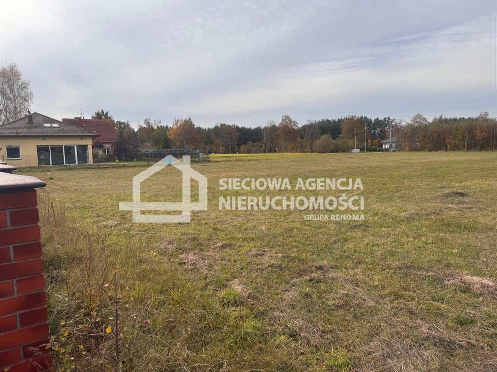 Działka budowlana na sprzedaż Bieszkowice  900m2 Foto 4