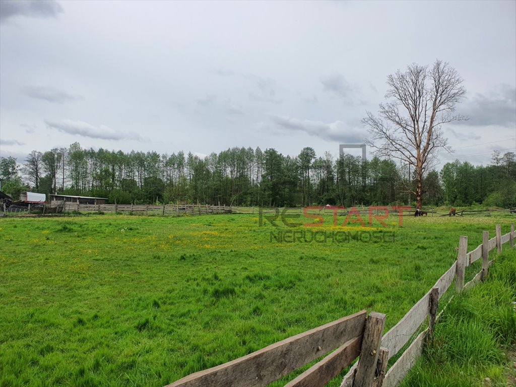 Działka budowlana na sprzedaż Marynin  10 000m2 Foto 4