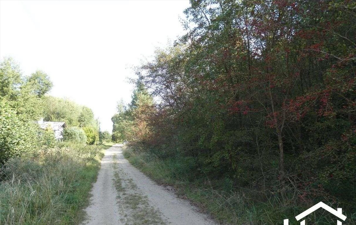 Działka budowlana na sprzedaż Charzykowy, ul. Droga pod Strzechę  2 133m2 Foto 2