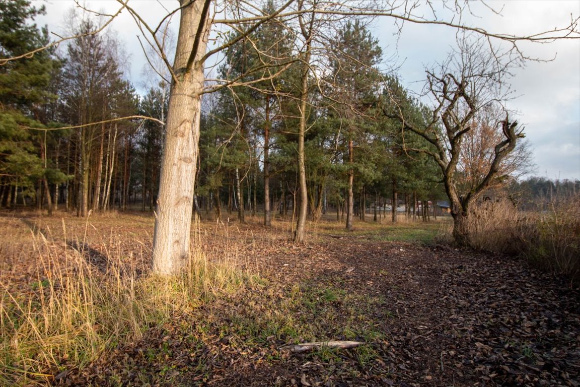 Działka budowlana na sprzedaż Koszęcin, Słowików  1 325m2 Foto 8