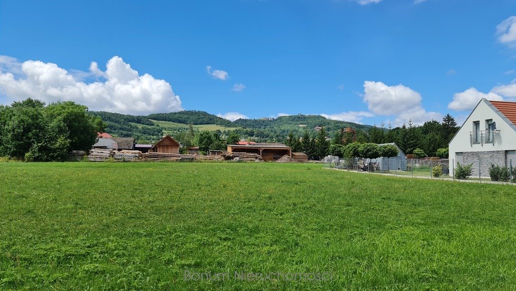 Działka budowlana na sprzedaż Budzów  2 400m2 Foto 2