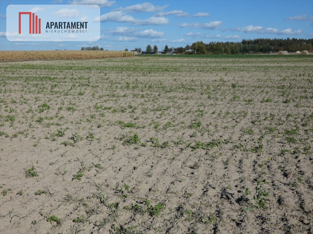 Działka budowlana na sprzedaż Żnin  900m2 Foto 8