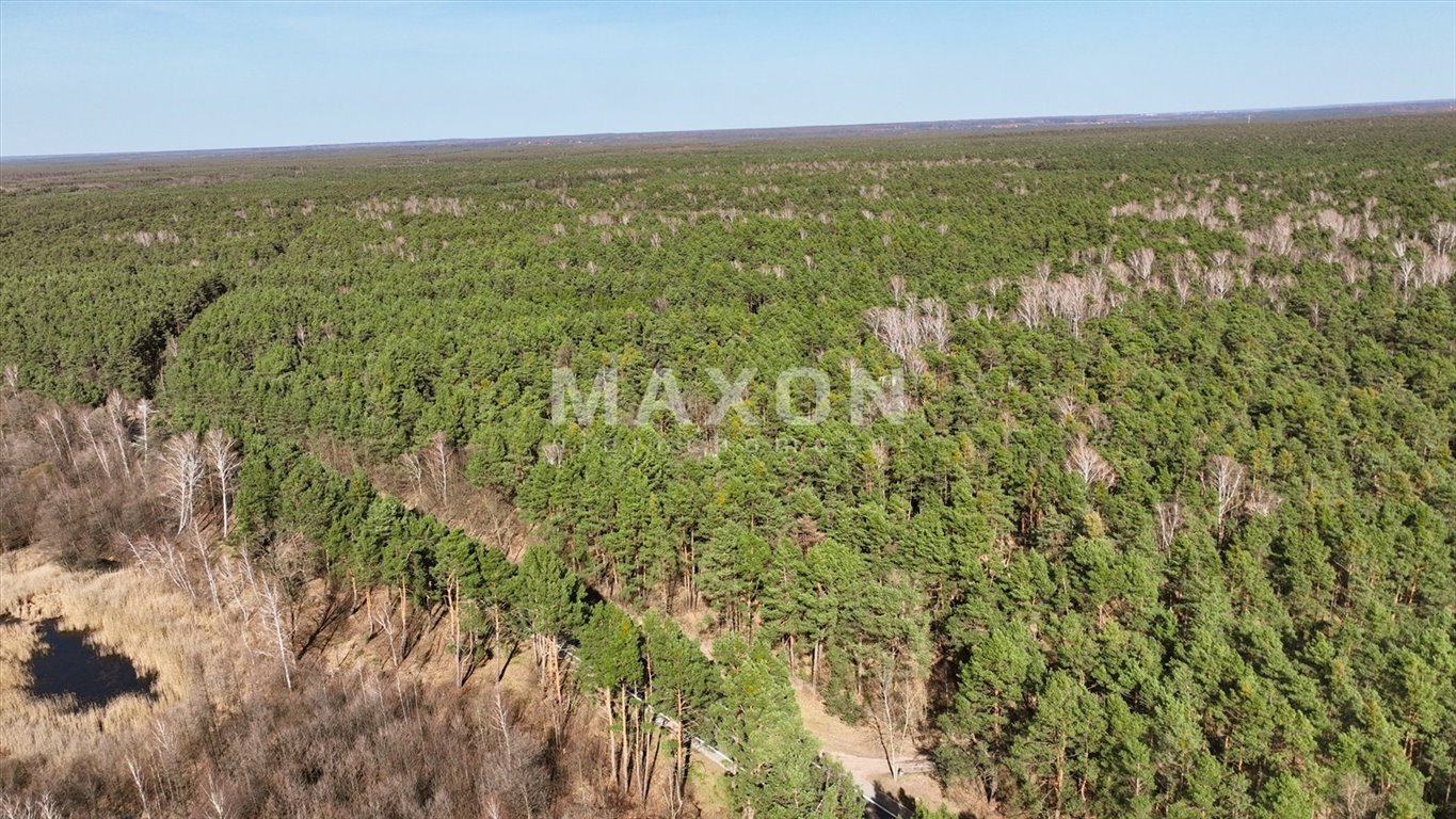 Działka budowlana na sprzedaż Wilga  9 027m2 Foto 7