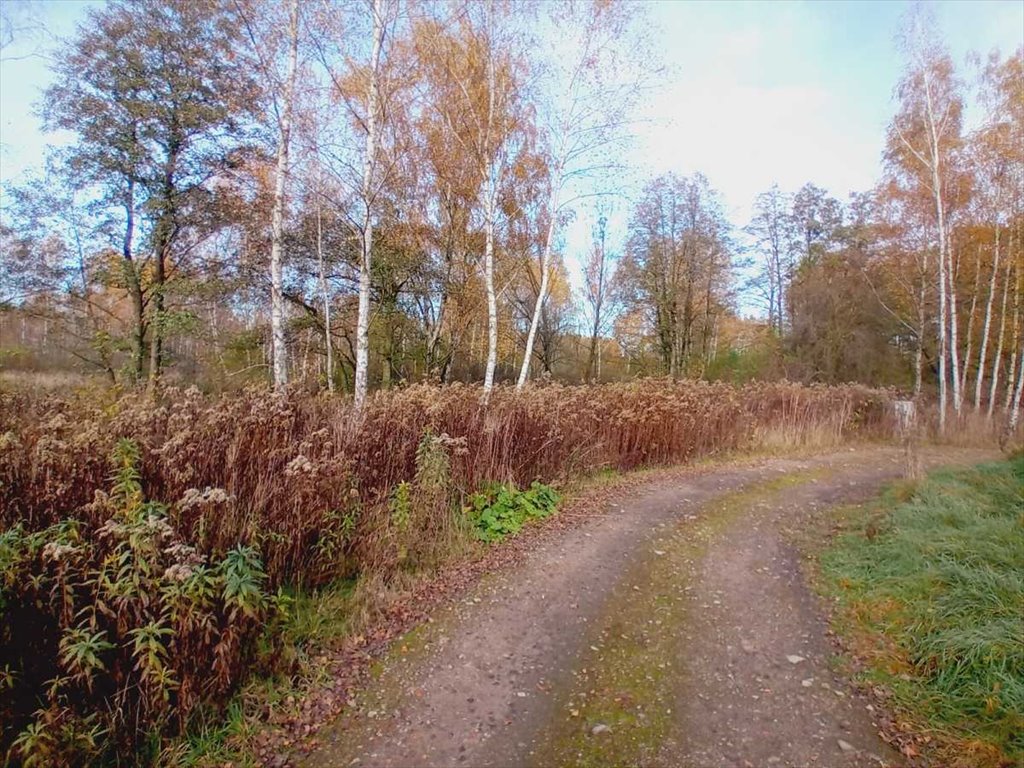 Działka budowlana na sprzedaż Zajączków, Zajączków  1 622m2 Foto 3