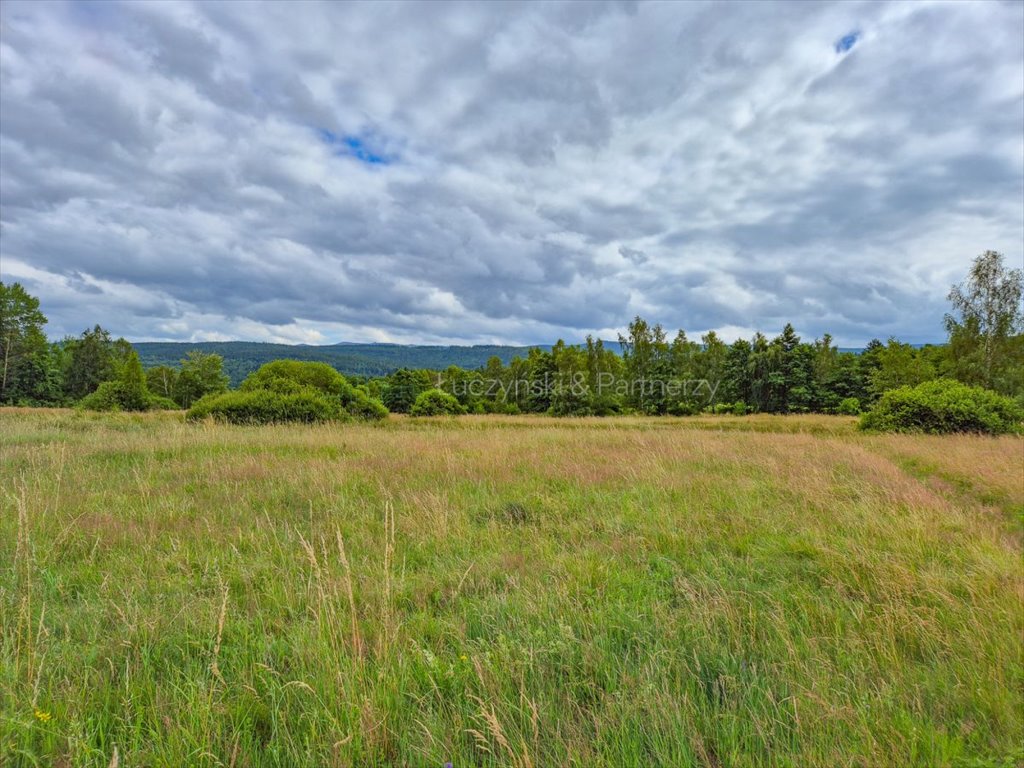 Działka rolna na sprzedaż Antoniów  13 200m2 Foto 4