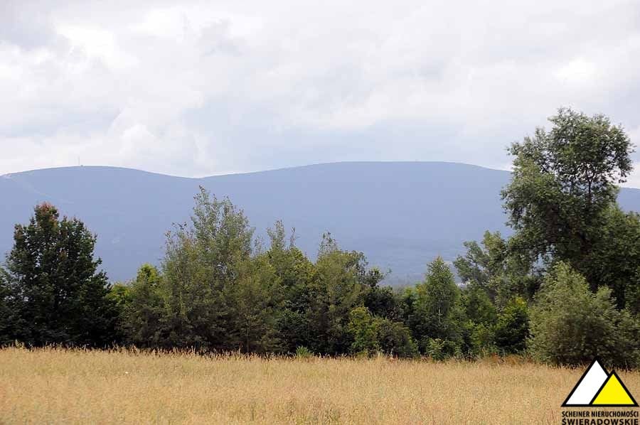 Działka budowlana na sprzedaż Brzeziniec  1 500m2 Foto 15