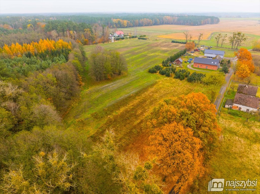 Działka budowlana na sprzedaż Węgorza, Wieś  1 500m2 Foto 11