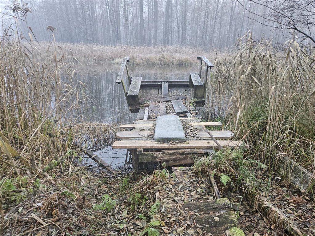 Działka rekreacyjna na sprzedaż Koczek  9 000m2 Foto 1