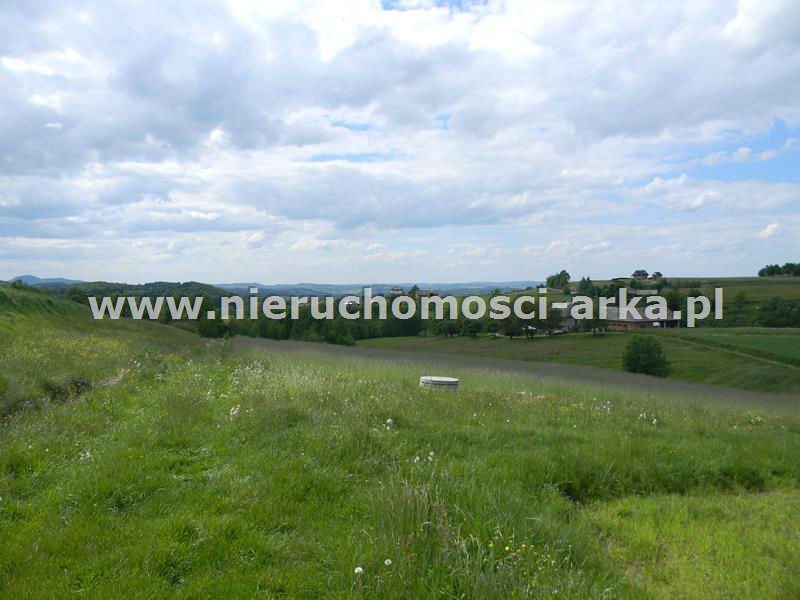 Działka budowlana na sprzedaż Stare Rybie 3 300m2 Foto 1 Działka budowlana na sprzedaż Stare Rybie 3 300m2 Foto 1