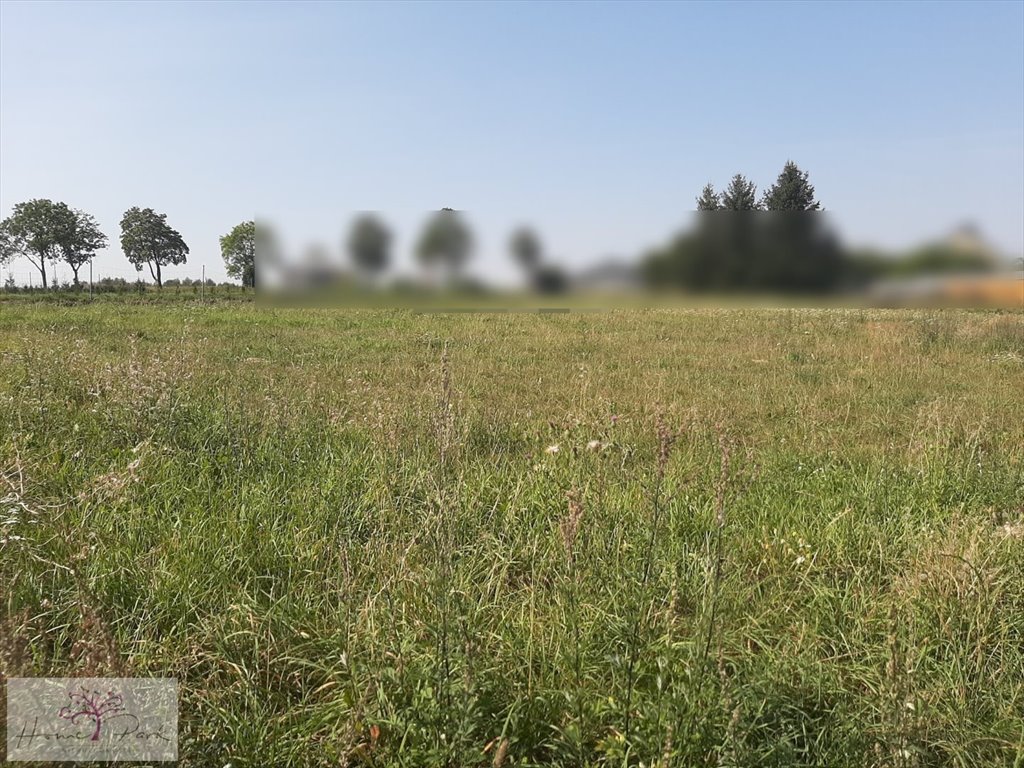 Działka budowlana na sprzedaż Kudrowice  1 250m2 Foto 1