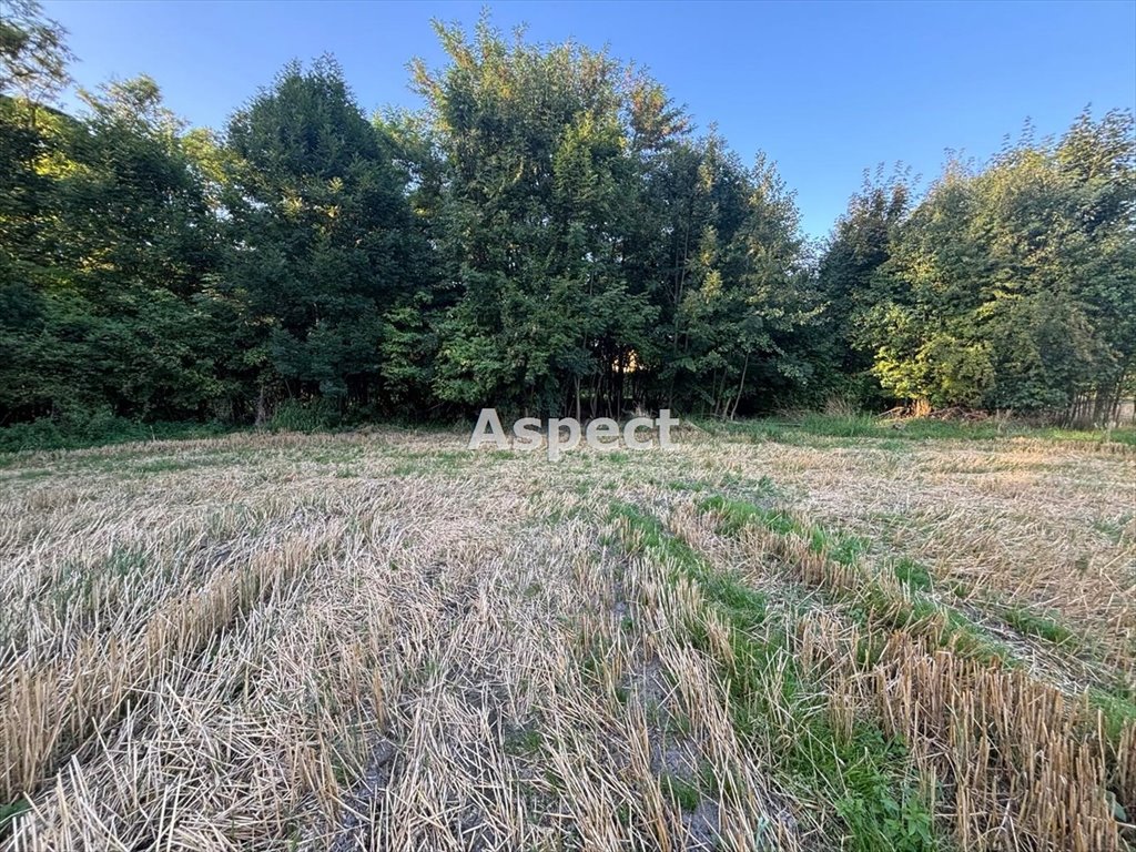 Działka budowlana na sprzedaż Frelichów  1 420m2 Foto 1