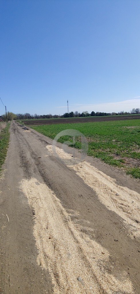 Działki 15 arów z mediami, spokojna okolica - polecam Gorzów Wielkopolski, Zakanale  1 500m2 Foto 1