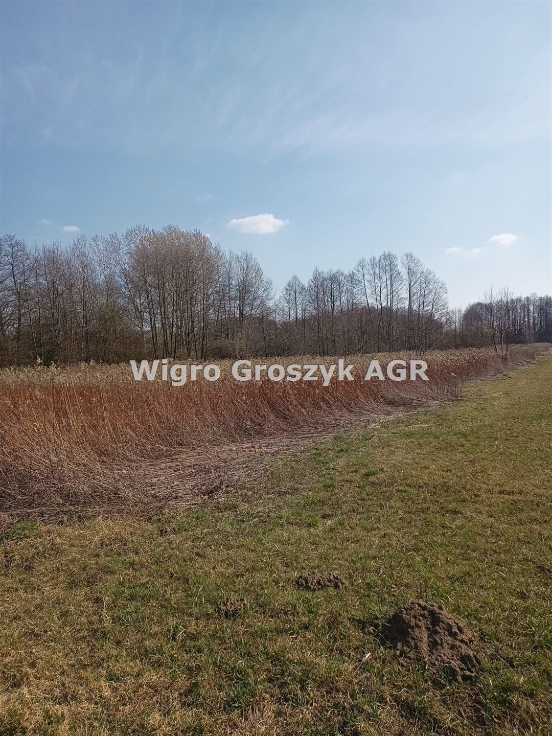 Działka 1170 m² pod dom jednorodzinny w Ośnikach - gotowa do zakupu Ośniki  1 170m2 Foto 1
