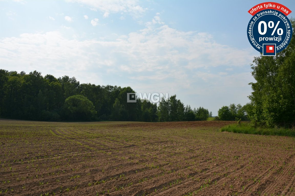 Działka budowlana na sprzedaż Koziki  1 400m2 Foto 13