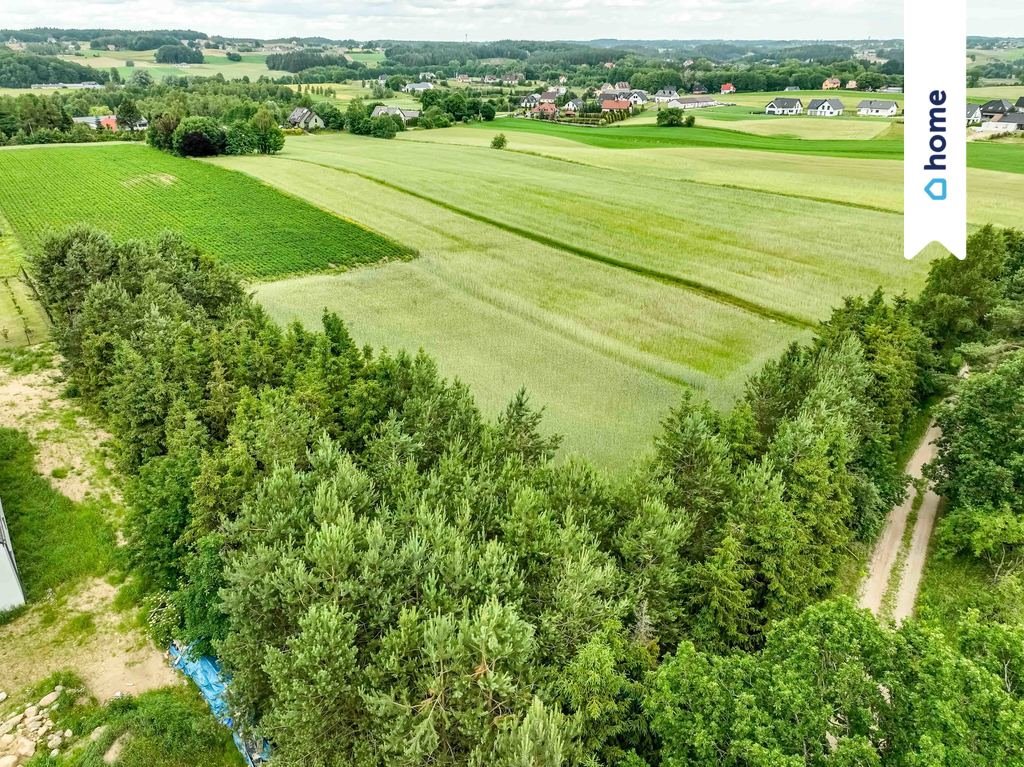 Działka budowlana na sprzedaż Kobysewo, Długa Ryga  37 000m2 Foto 13