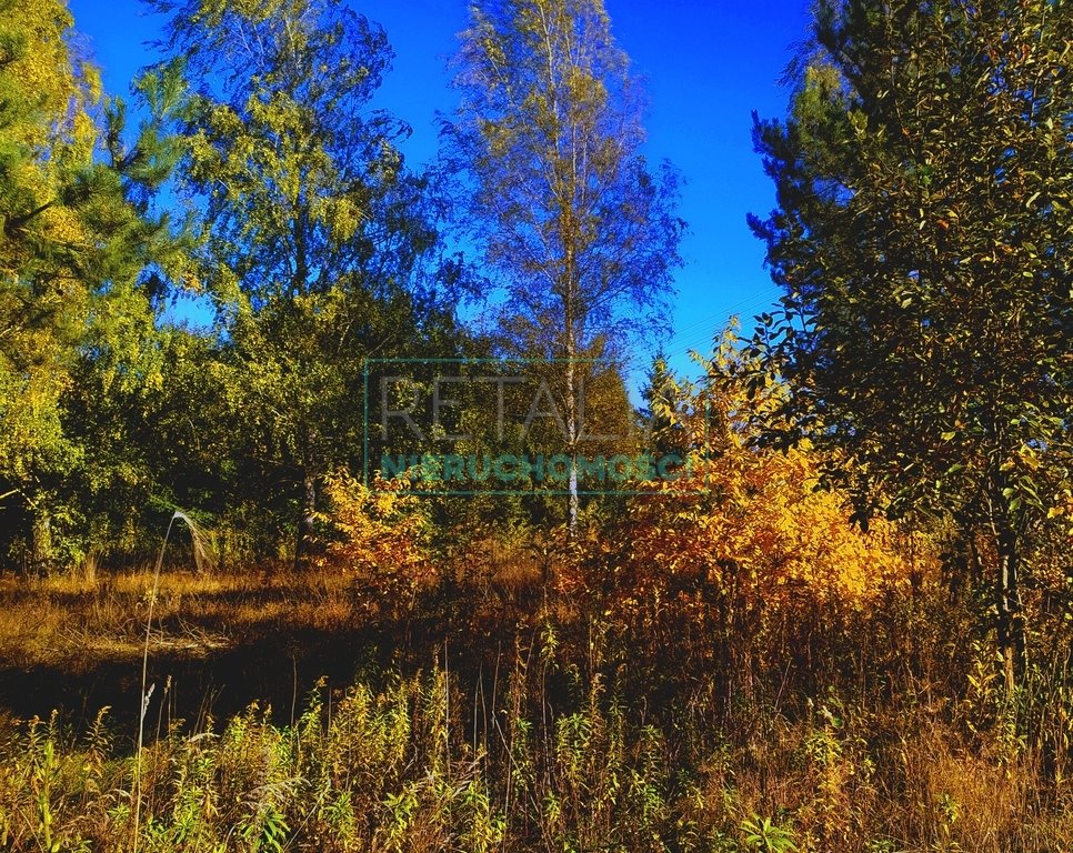 Działka budowlana na sprzedaż Jastrzębnik  1 300m2 Foto 1