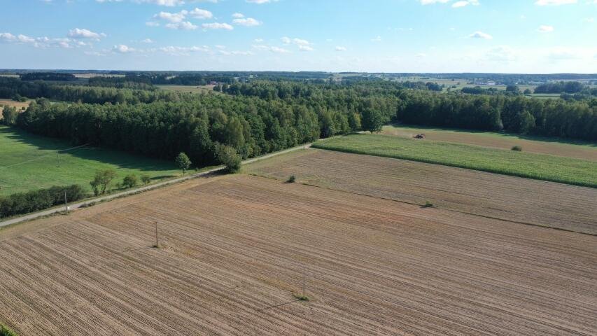 Działka budowlana na sprzedaż Przytuły  3 001m2 Foto 6