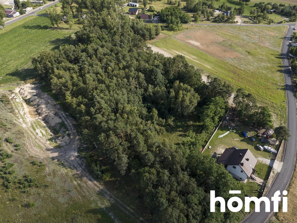 Działka inwestycyjna na sprzedaż Domanin  13 100m2 Foto 3